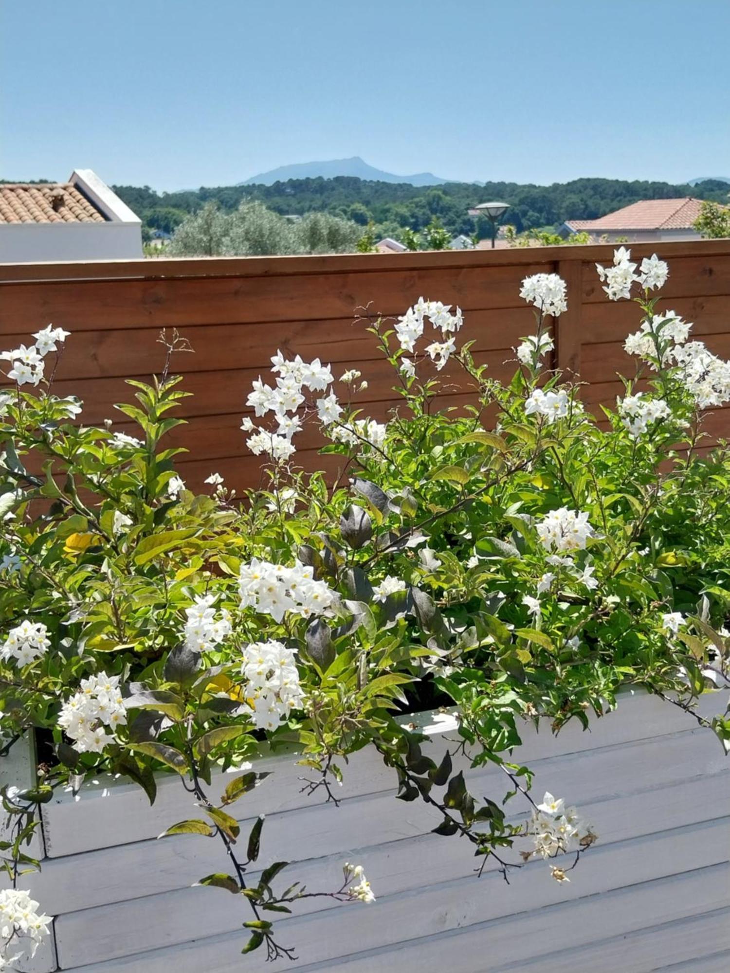 Studio Cocon Enea Bidart, Terrasse Et Parking Exterior photo